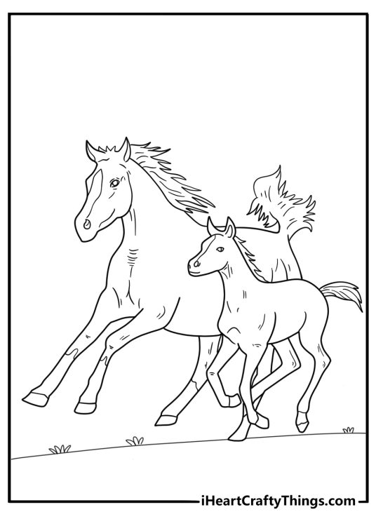 Coloring image depicting a parent and child horse running side by side in the countryside
