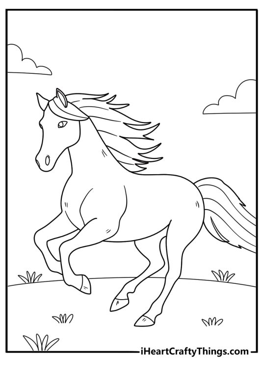 Coloring image of a beautiful horse with a long flowing main posing on a grassy field