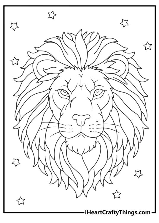 Coloring page for adults presenting a close up portrayal of a realistic lion with stars in the background