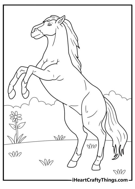 Coloring page for kids depicting realistic horse stom ping its hoof while in the meadow