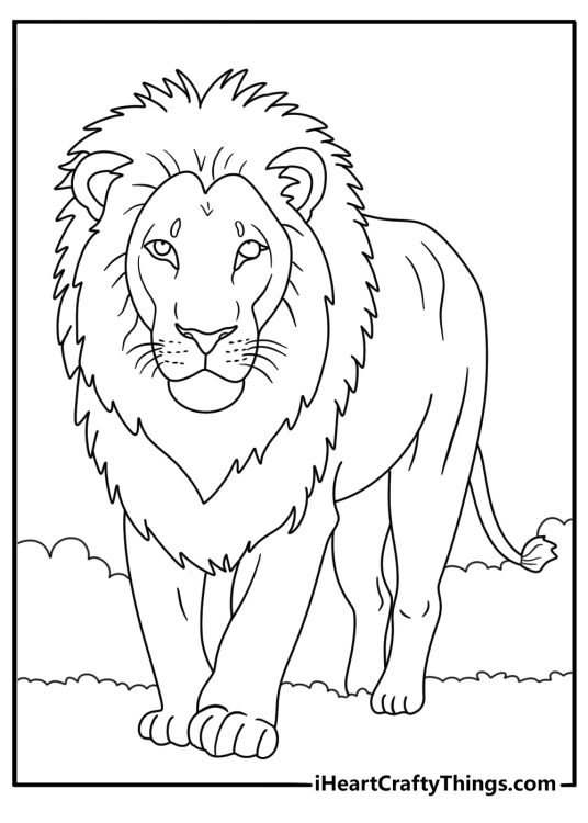 Coloring pdf featuring young lion standing in a grassy field with some bushes behind it