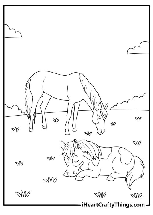 Coloring picture featuring realistic horse feeding on grass and a younger horse lying on the pasture