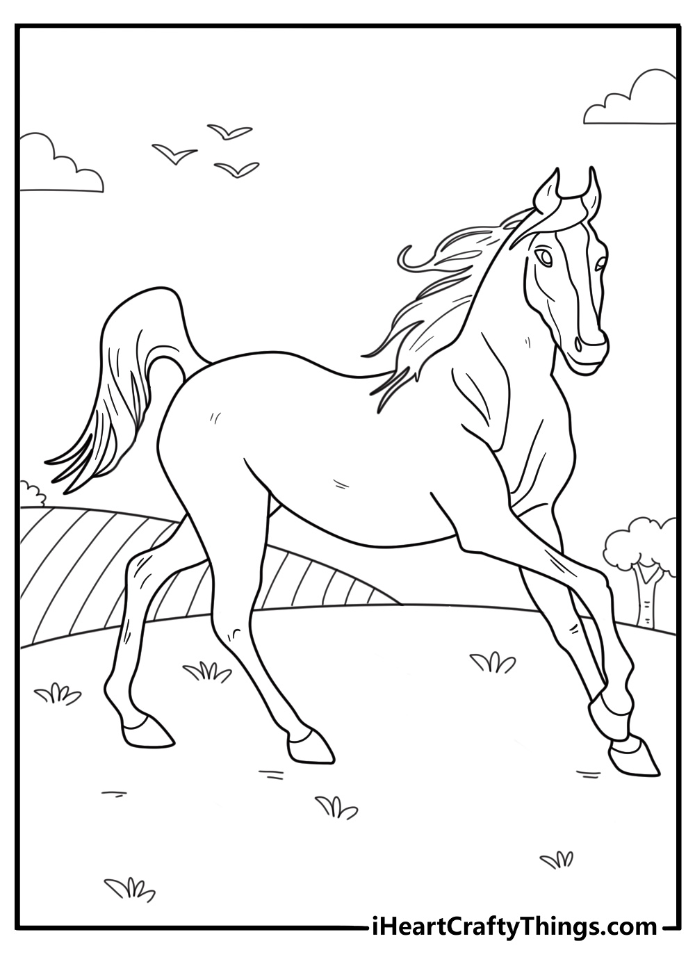 Coloring printable capturing realistic horse running through the field with birds in the sky behind him