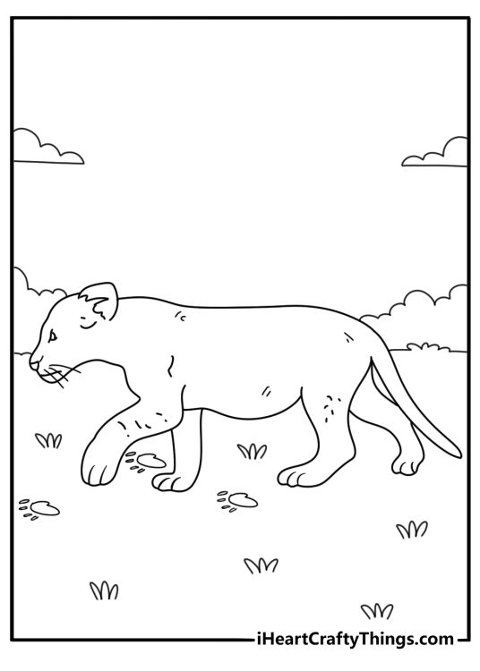 Cute lion coloring page with a lion cub following paw prints