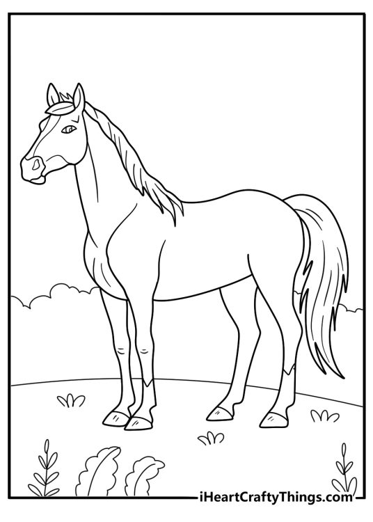 Detailed coloring card showing horse with little mane clamly posing surrounded by nature