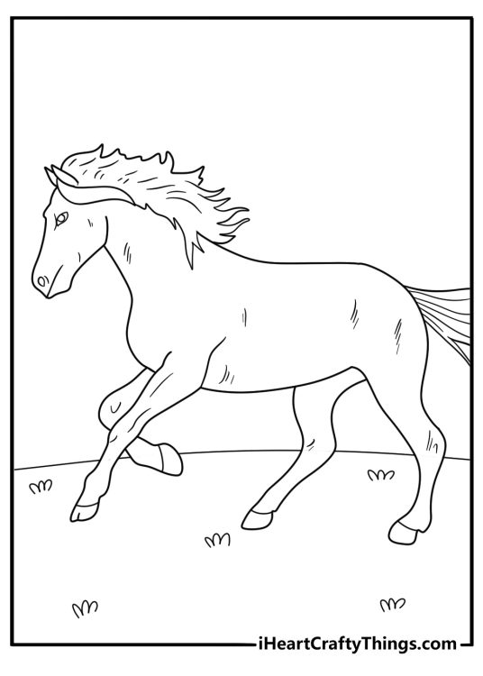 Detailed coloring drawing for kids of a beautiful realistic horse running in the fields