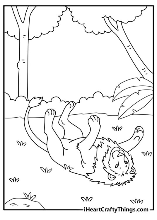 Detailed printable picture featuring young lion with fluffy mane and underbelly posing in a jungle