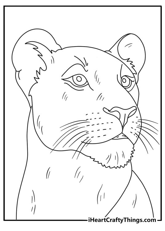 Detailed printable poster presenting a close up portrayal of a majestic lion and lioness