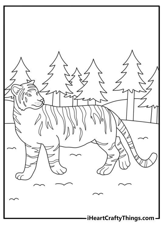 Detailed tiger coloring sheet with a white tiger in a snowy forest