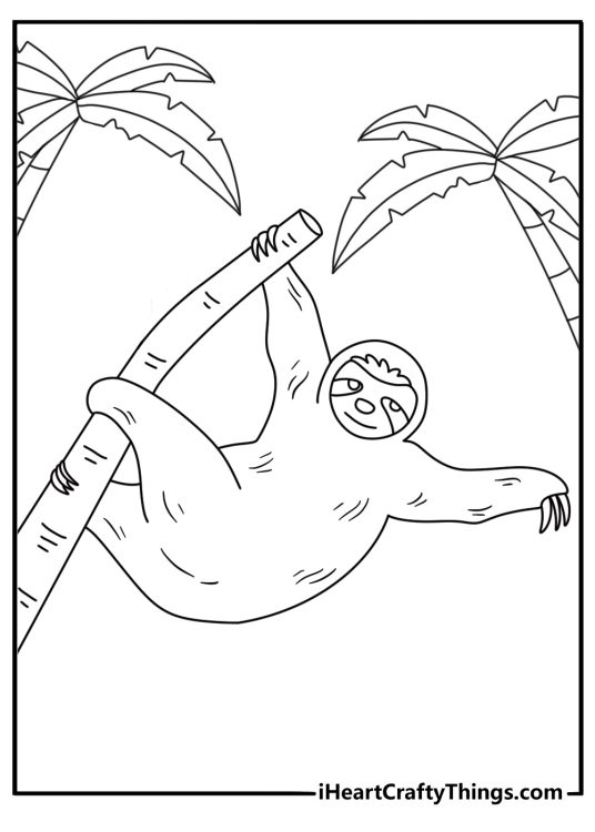 Free sloth printable featuring long claws gripping a palm trunk