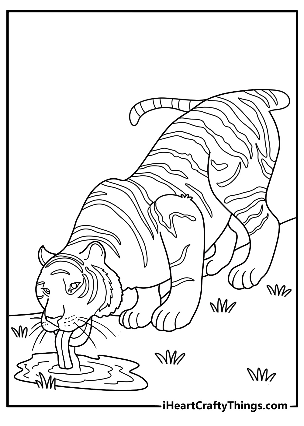 Free tiger printable of a tiger drinking from a waterhole
