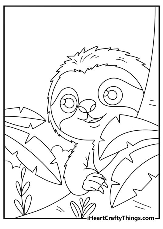 Kids can color a sloth peeking through broad jungle leaves