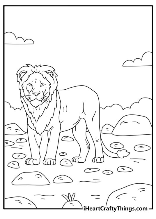 Lion coloring page for kids with a lion crossing a dry riverbed