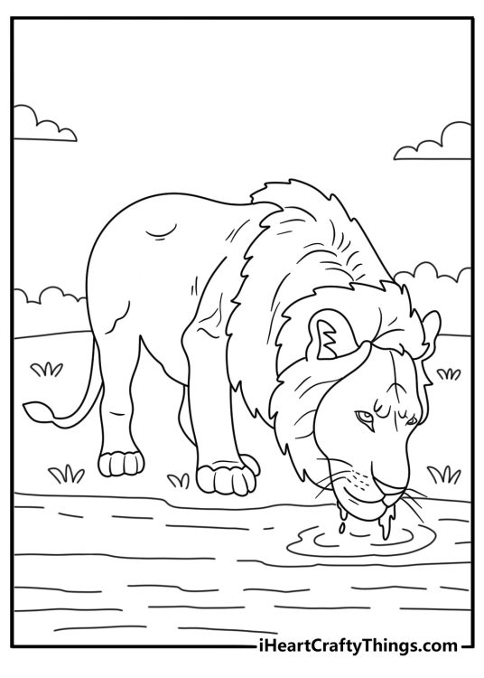 Lion coloring page with a lion drinking from a savanna waterhole