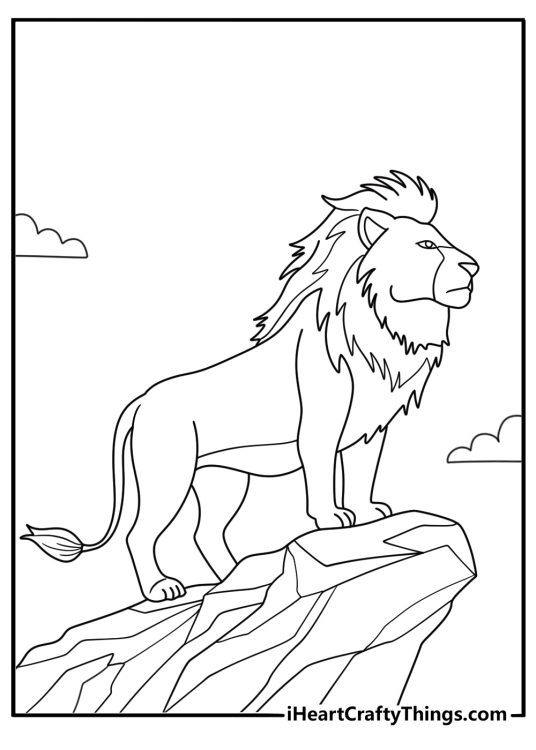 Lion coloring pages