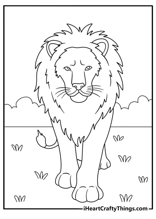 Lion coloring pages for adults with detailed mane patterns in a full body lion