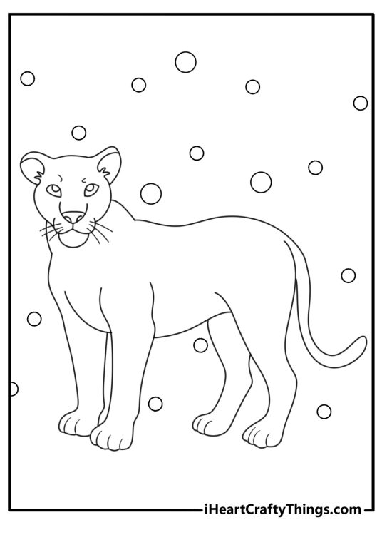 Lion themed picture featuring lioness drawn in a simple style with bubbles all around her