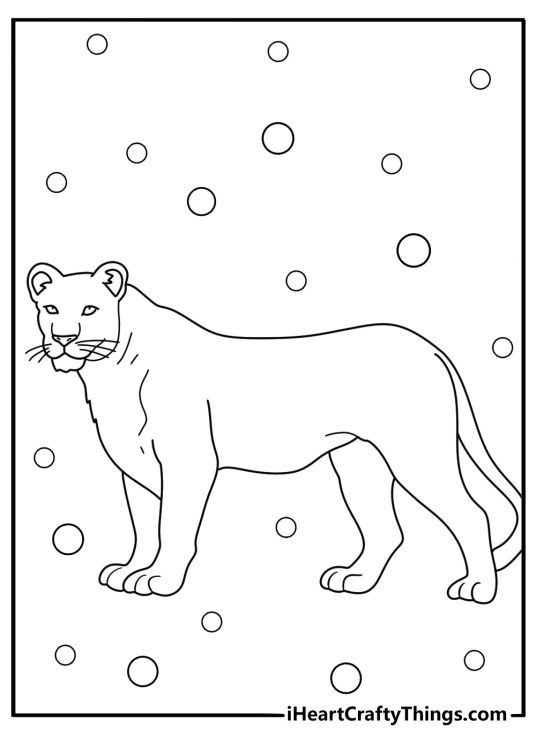 Lion themed picture for pre schoolers featuring lioness drawn in a simple style with bubbles all around