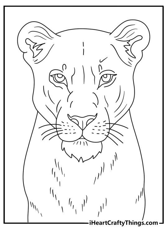 Lion themed picture to print and color showing detailed close up portrayal of a lioness