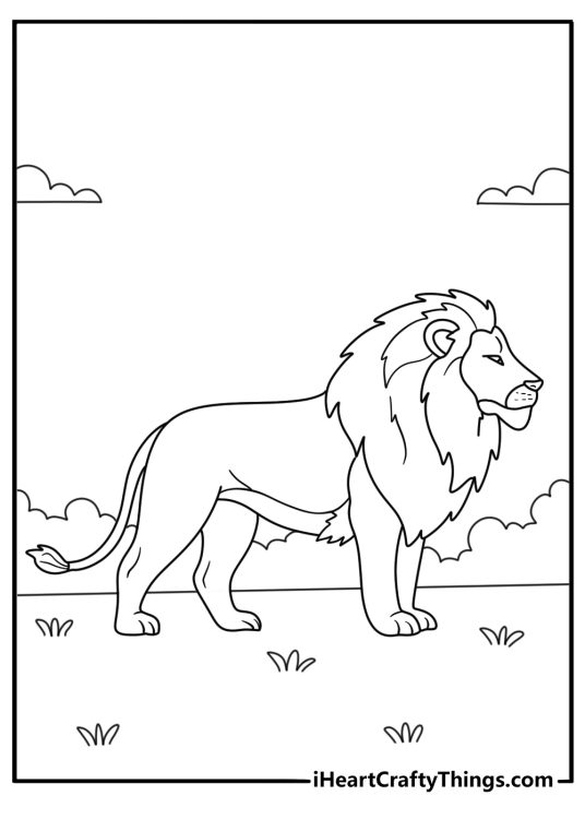 Lion themed printable featuring side view of the head of a realistically looking lion