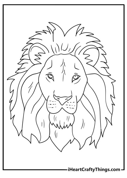 Lion themed printable picture featuring a close up head of a lion with focus on its voluminous mane
