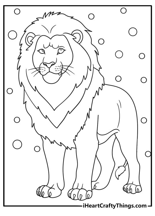 Picture for children featuring adult lion with a big mane surrounded by small circles
