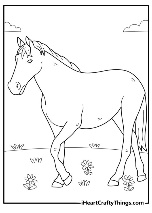Printable coloring sheet for pre-schoolers depicting adult horse walking on a meadow=