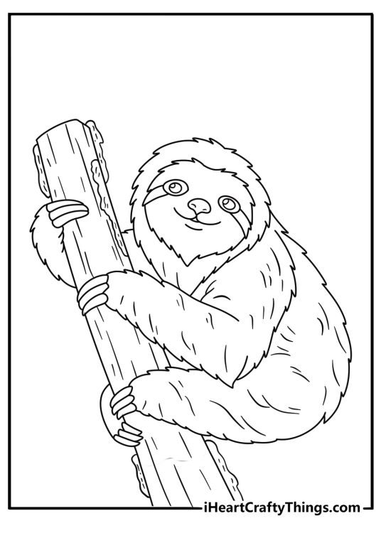 Printable sloth coloring page with green algae patterns across thick fur