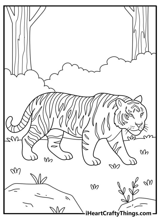 Printable tiger coloring sheet with a tiger crossing a jungle path