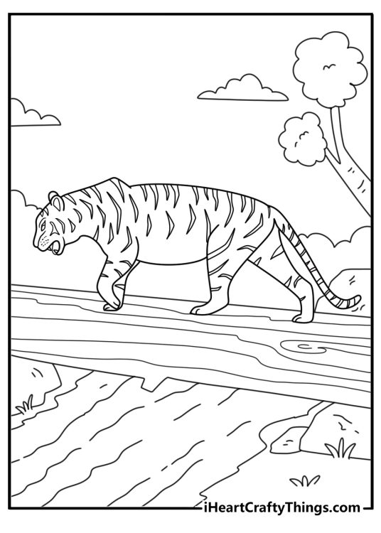 Simple tiger coloring page with a tiger walking across a fallen log