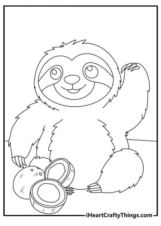 Sloth coloring page for kids showing a sloth near a fallen coconut