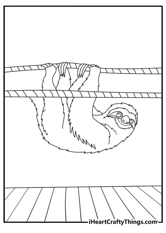 Sloth coloring page showing a three toed sloth crossing a rope bridge
