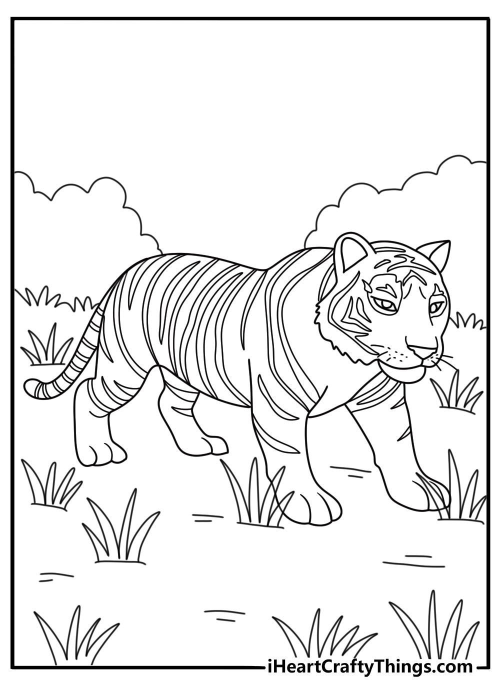 Tiger coloring page with a tiger stalking through tall jungle grass