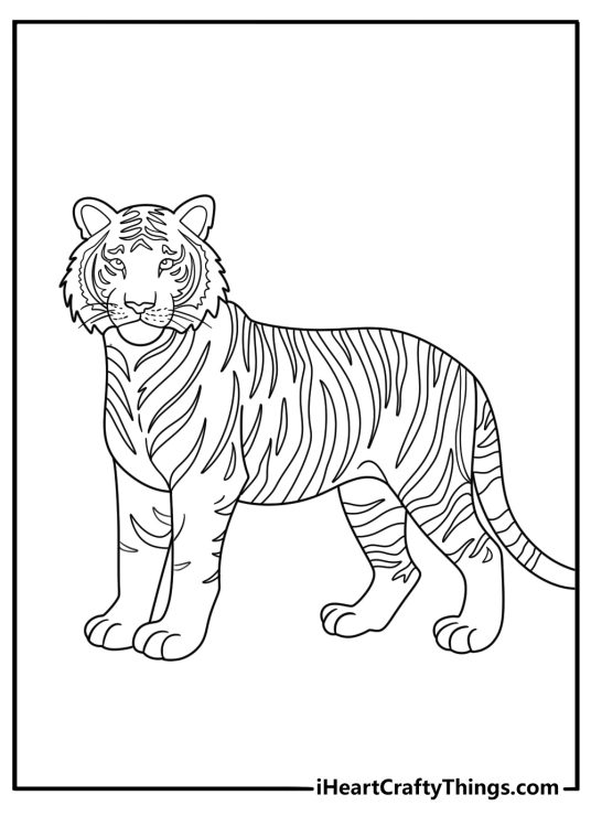 Tiger coloring pages for adults with detailed stripe patterns across the full body