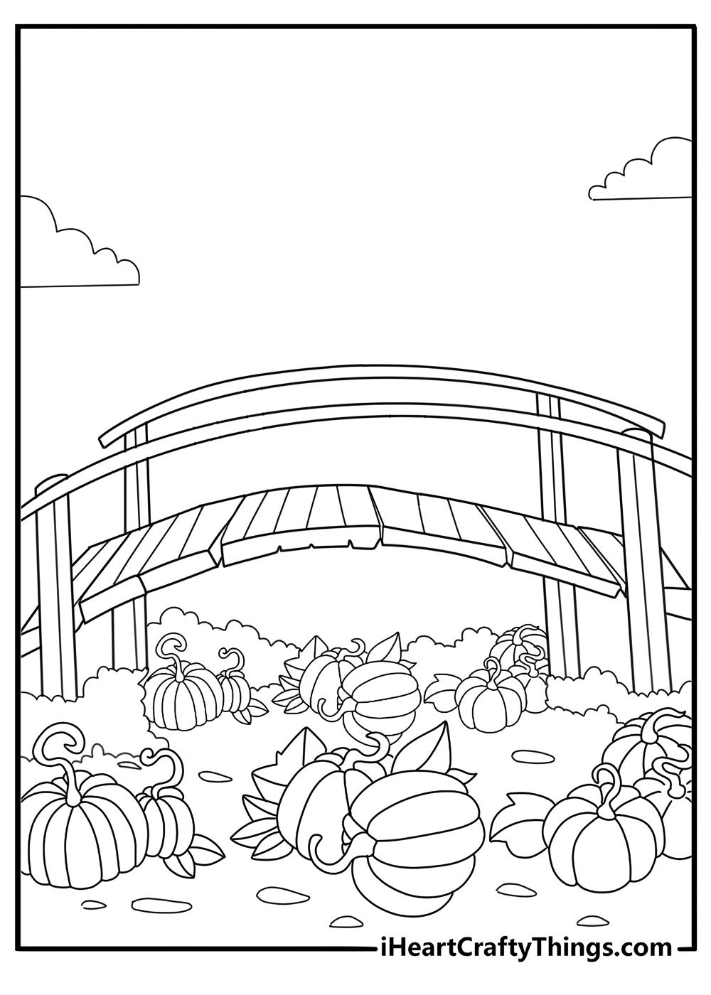 bridge in a pumpkin field