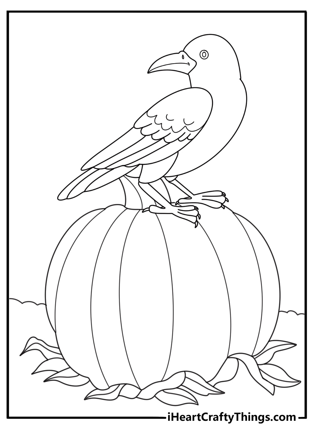crow on a pumpkin