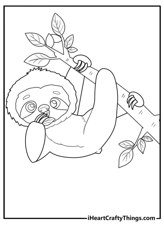 easy sloth eating leaves from a branch coloring page