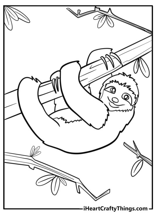 Detailed coloring drawing for kids of a cute smiling sloth hanging on a tree branch