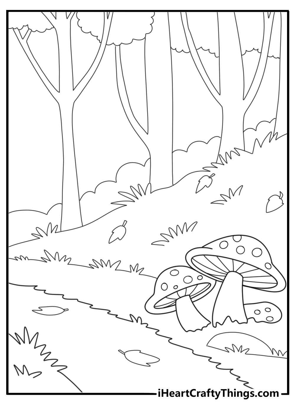 mushrooms growing in autumn forest