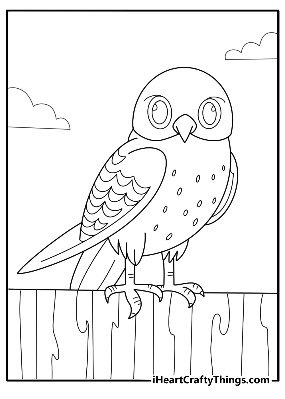 owl sitting on a fence