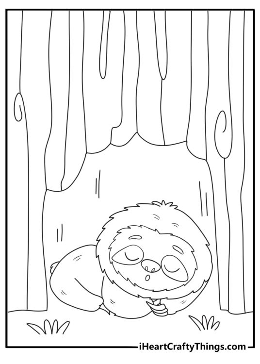 sloth curled up sleeping inside a tree hollow printable coloring sheet