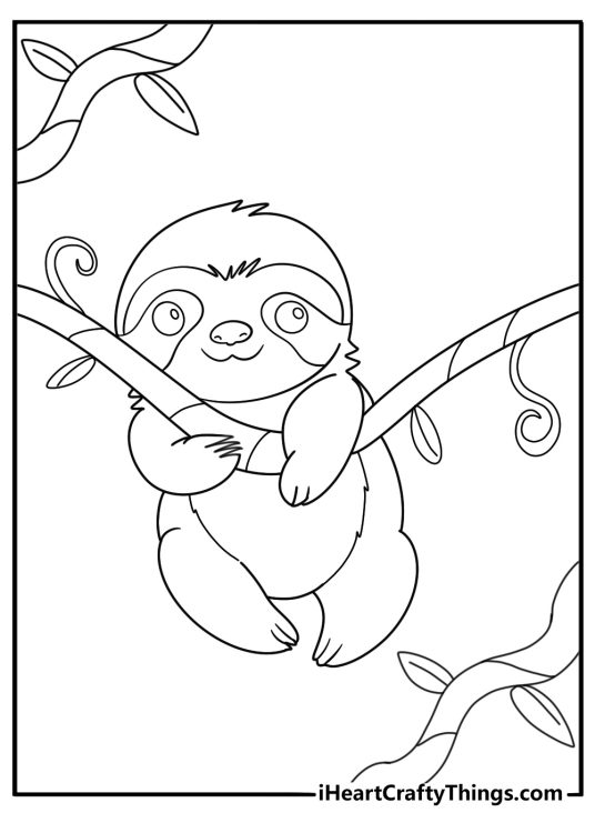sloth hanging from jungle vines detailed coloring sheet