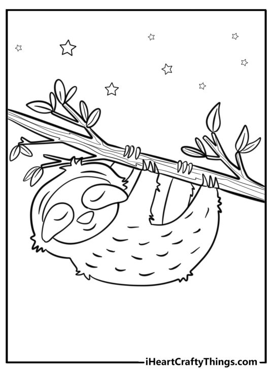 Coloring drawing for kids of a sleepy sloth hanging on a tree branch at the night time