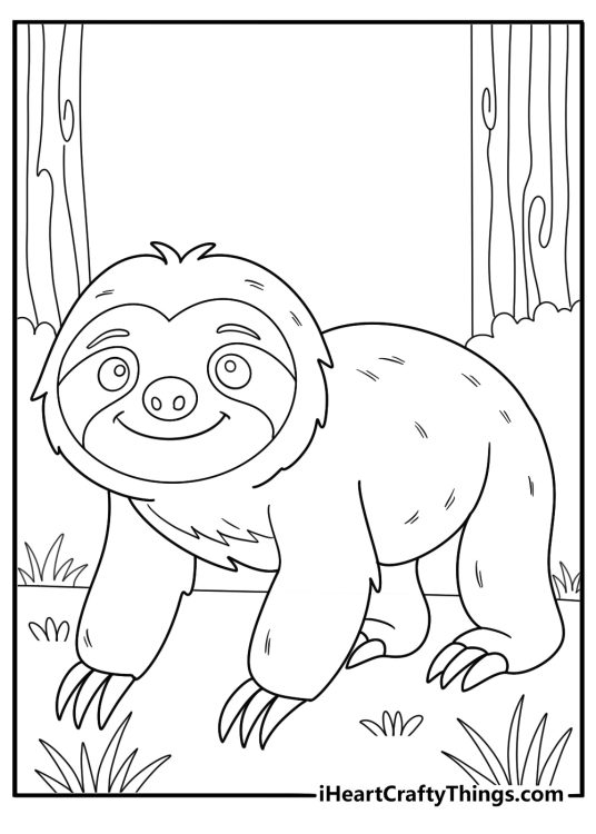 sloth walking slowly on the forest floor coloring page