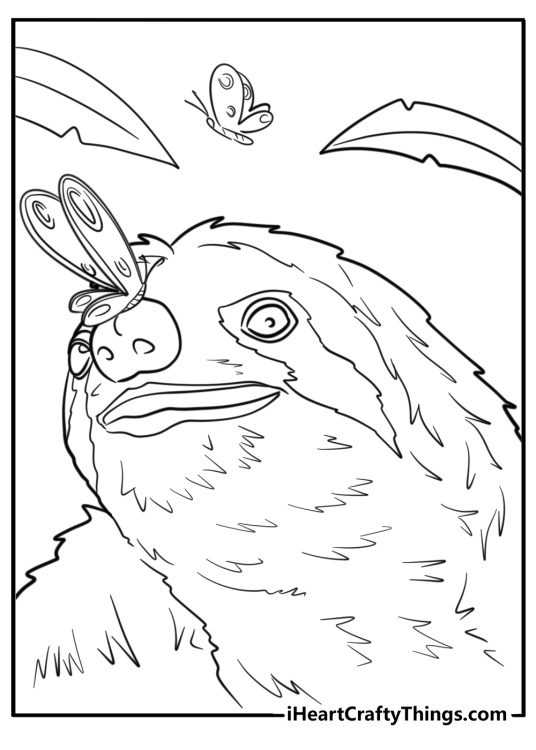 Free printable coloring image featuring a close-up of a sloth face with a butterfly on the nose