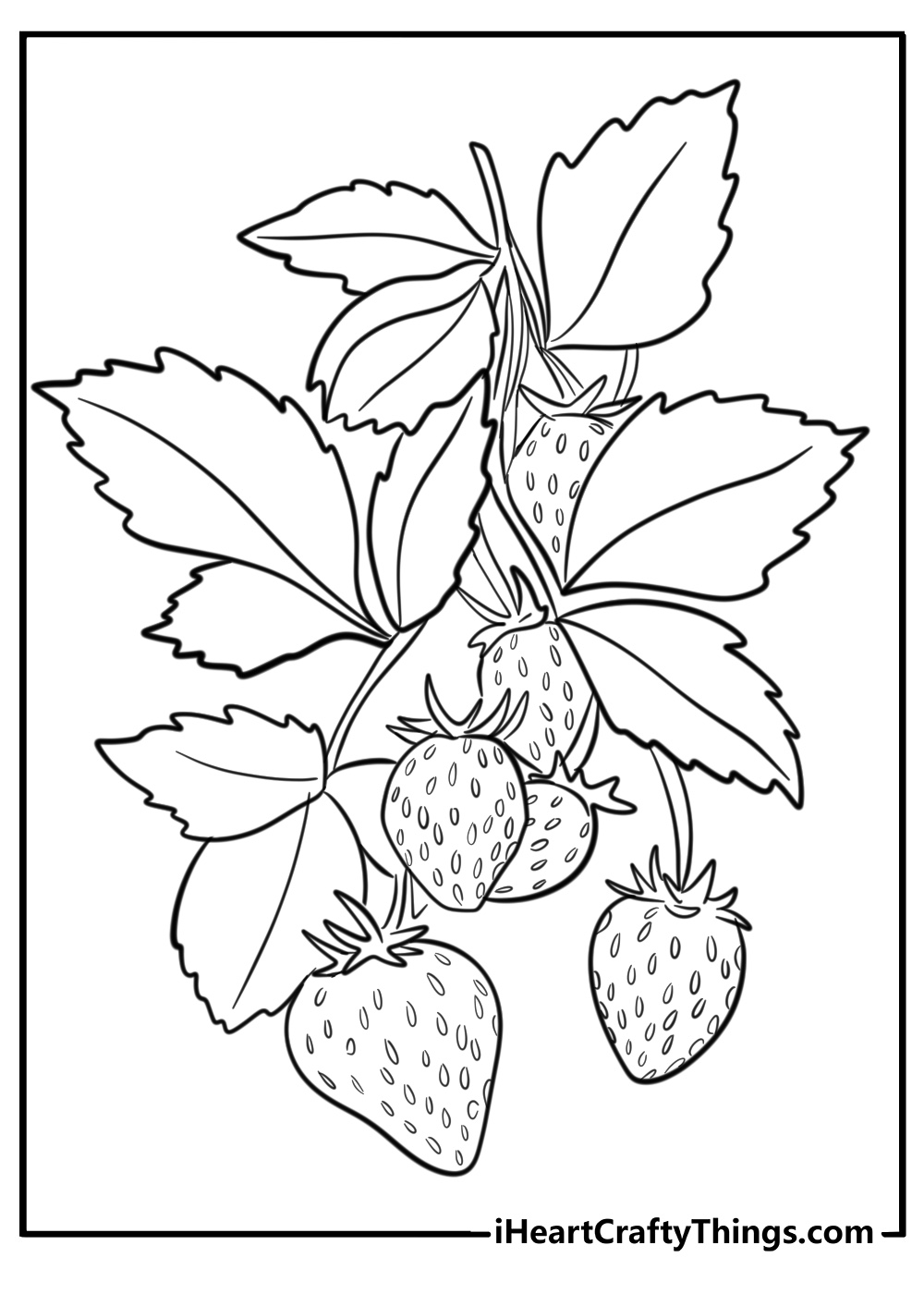 Strawberry coloring page free