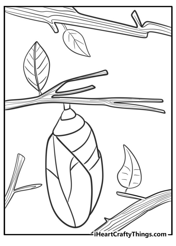 29 New Caterpillar Coloring Pages (100% Free To Print)