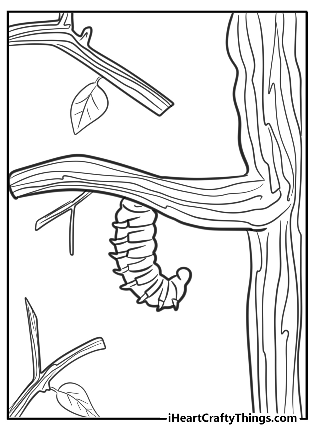 Caterpillar hanging from a tree branch coloring sheet