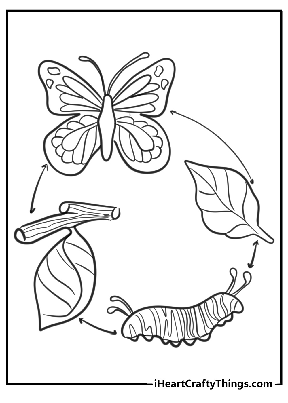 Caterpillar lifecycle coloring page for preschoolers