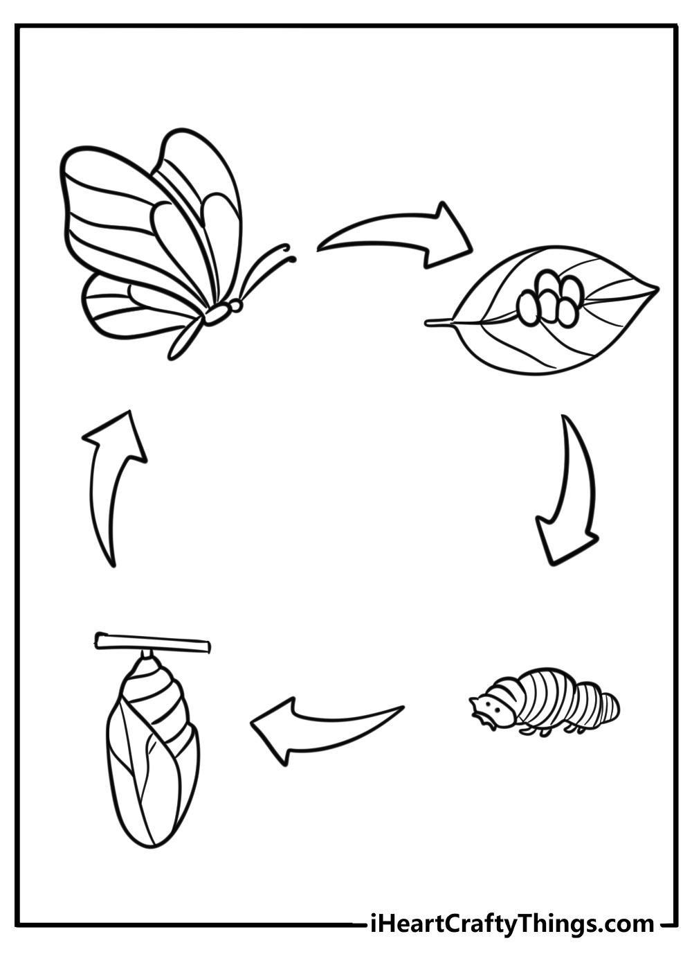 Caterpillar's transformation from cocoon to butterfly coloring page